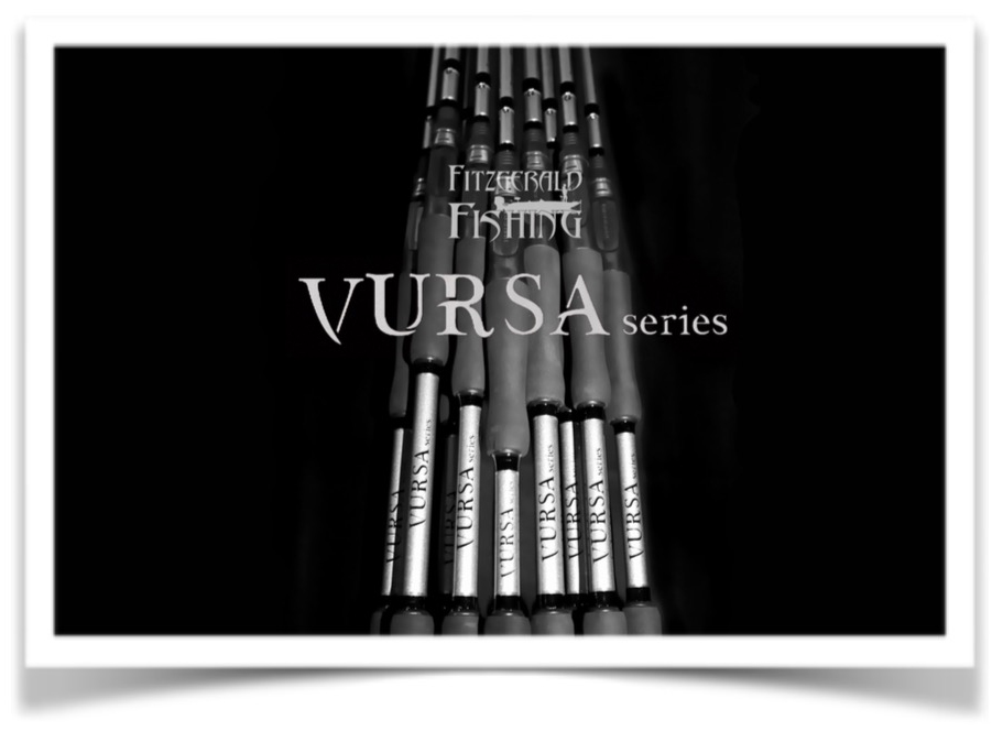 vursaseriesrods.jpg vursaseriesrods.jpg